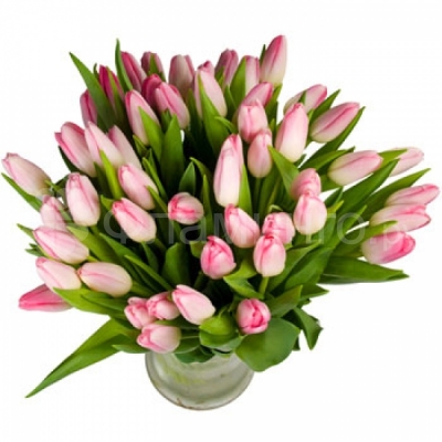 Розовые тюльпаны Розовые тюльпаны - букет, который станет замечательным подарком для каждой представительницы прекрасного пола к Международному женскому дню! Порадуйте любимых дам нашим специальным предложением к 8-му марта! Букет розовых тюльпанов – нежный и трогательный подарок, который без труда расскажет о Ваших чувствах. Розовые тюльпаны