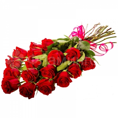 Розы код 589 Семнадцать красных роз - традиционно прекрасный подарок, который придется по вкусу любому виновнику торжества. На день рождения, 8 марта, День святого Валентина или по любому другому поводу классические красные розы - символы любви и страсти окажутся замечательным подарком для Вашей возлюбленной! Семнадцать роз 